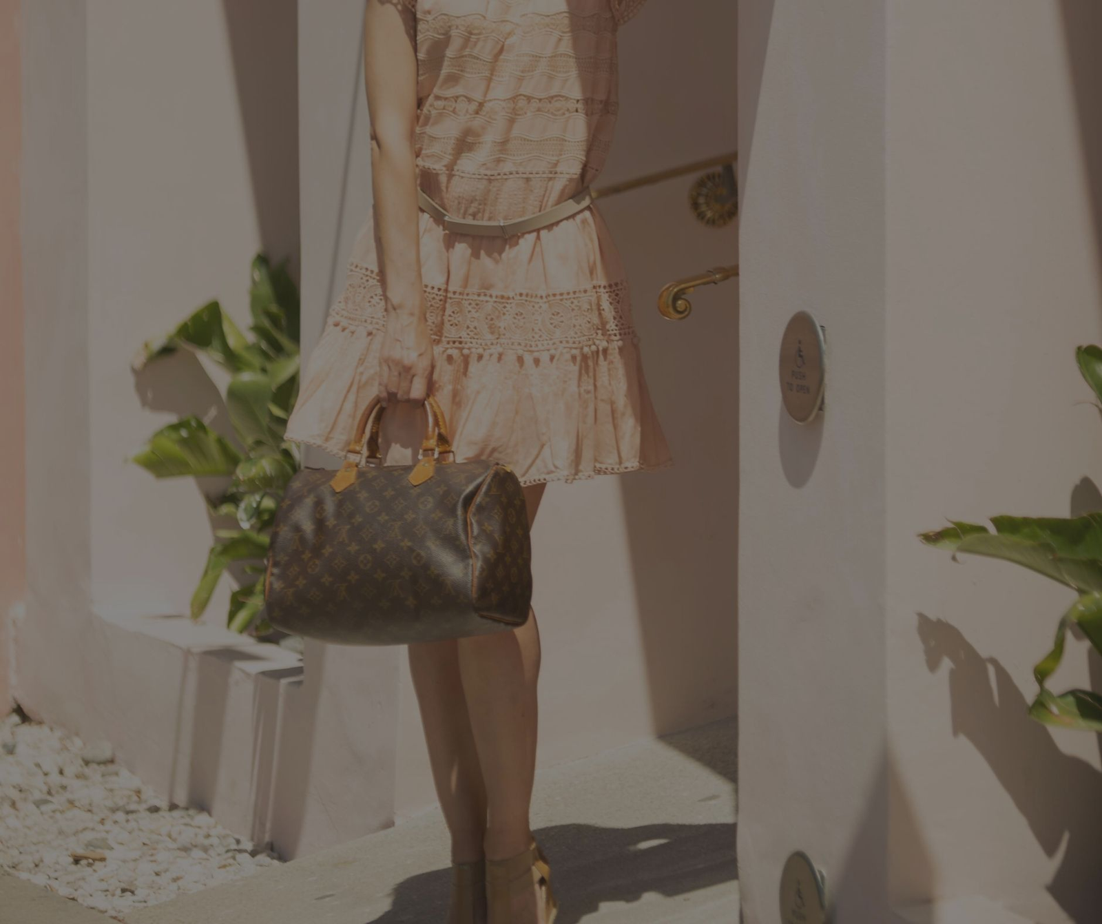 Louis Vuitton Speedy