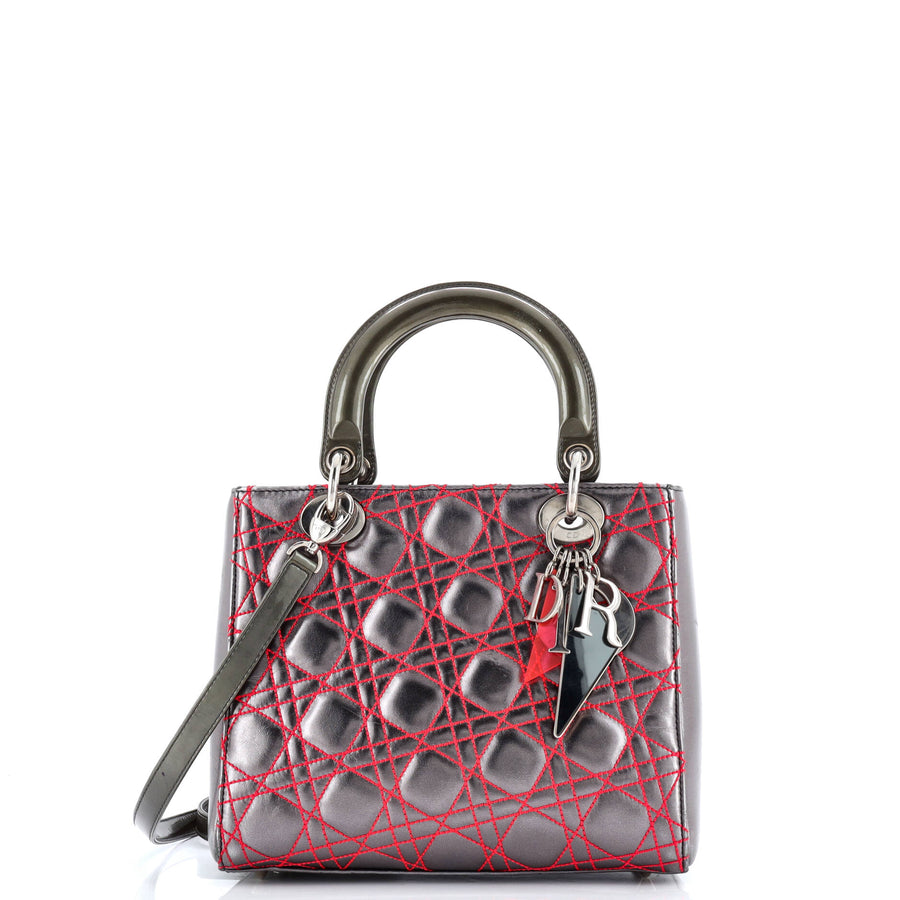 Christian Dior Lady Bag Anselm Reyle