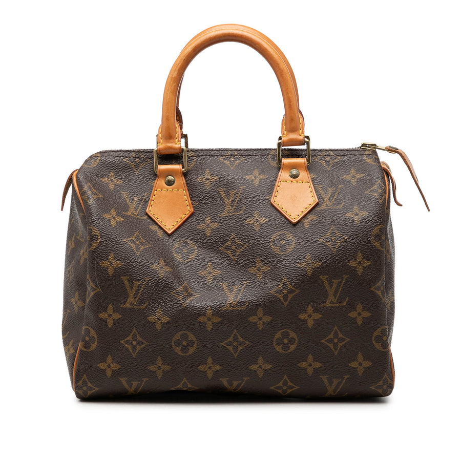 Louis Vuitton Speedy Handbag Canvas 25