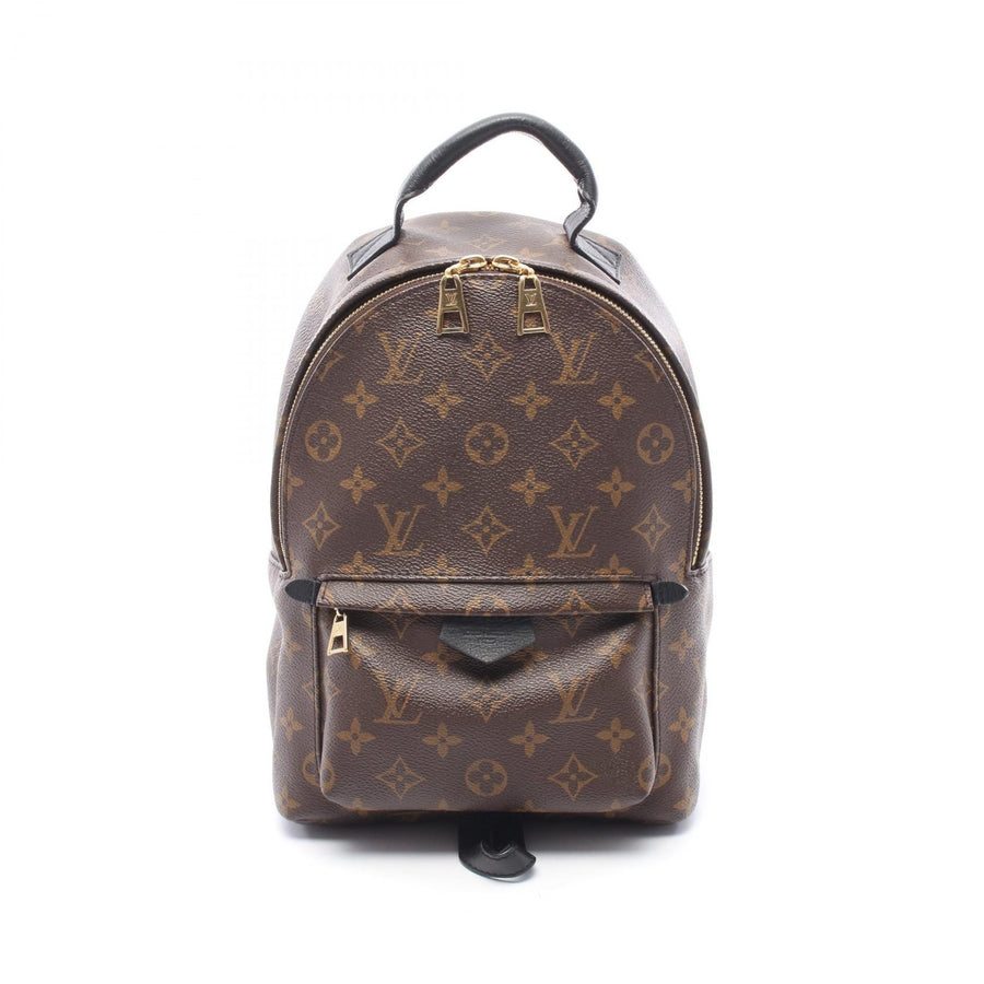 Louis Vuitton Palm Springs Backpack Pm