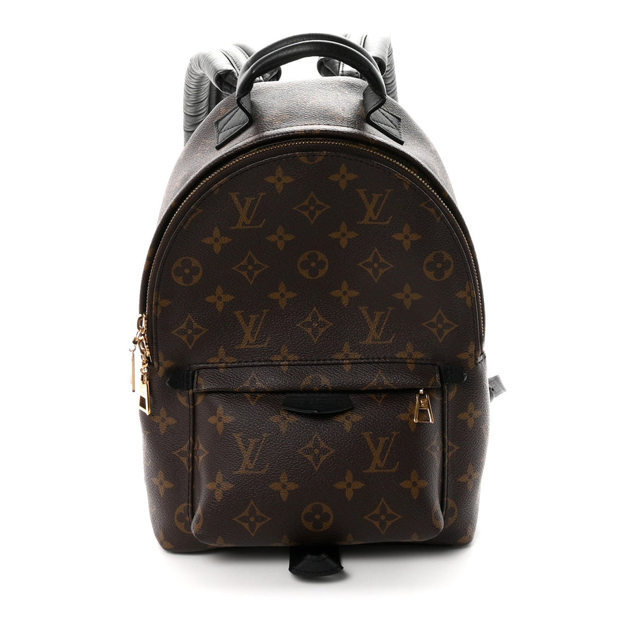 Louis Vuitton Palm Springs Backpack Pm