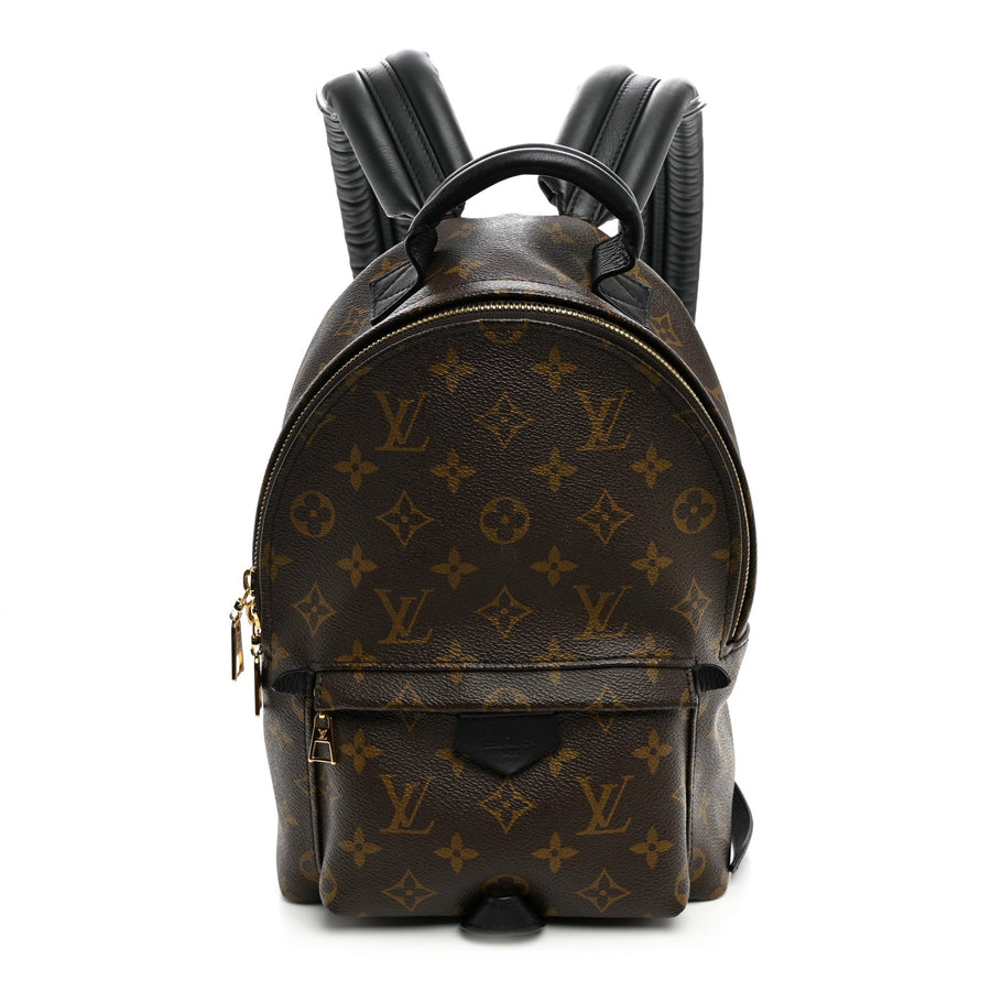 Louis Vuitton Palm Springs Backpack Pm