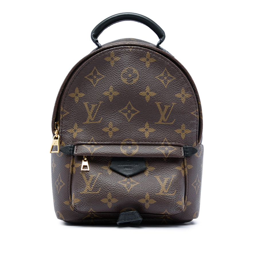 Louis Vuitton Palm Springs Backpack