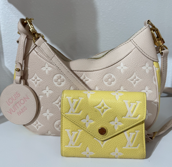 Louis Vuitton Bundle