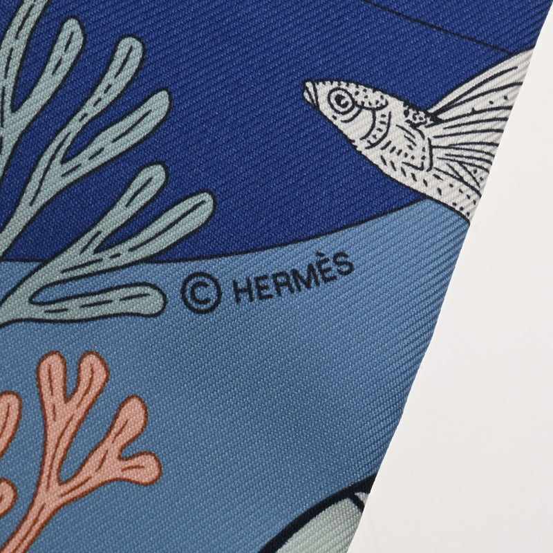 Hermes Twilly Precious Paradise Bleu