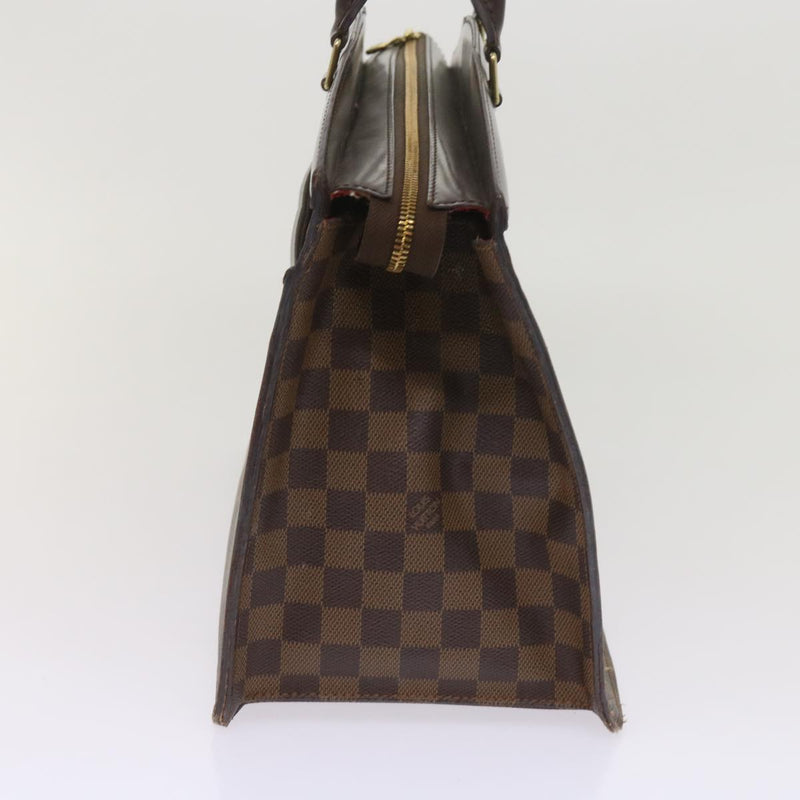 Louis Vuitton Damier Ebene Riviera Hand