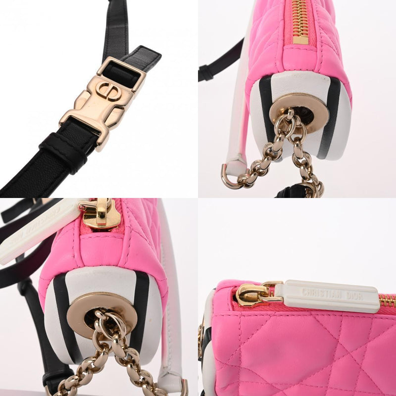 Christian Dior Vibe Hobo Bag Pink