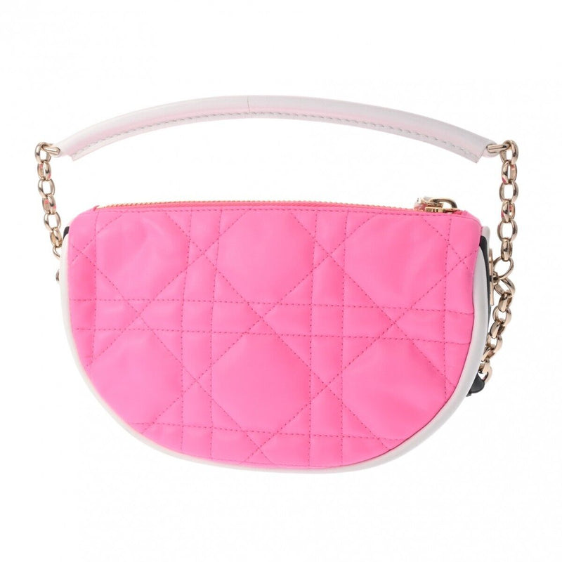 Christian Dior Vibe Hobo Bag Pink