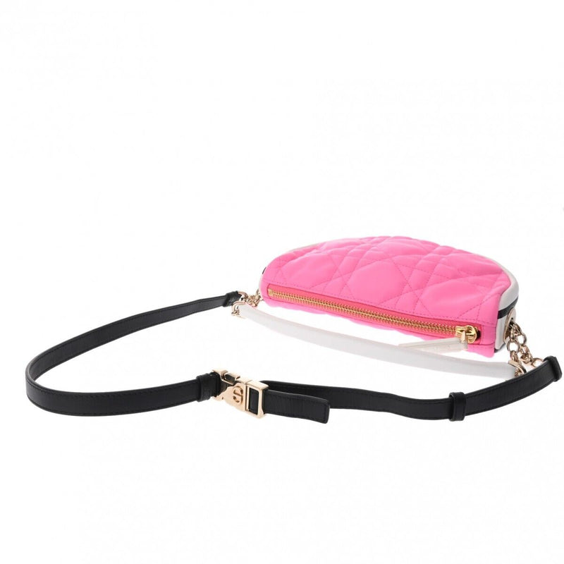 Christian Dior Vibe Hobo Bag Pink