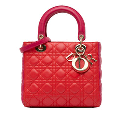 Dior Medium Bicolor Lambskin