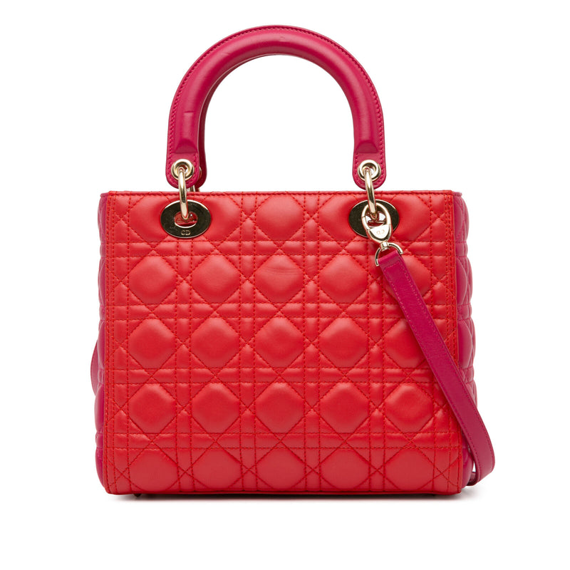 Dior Medium Bicolor Lambskin