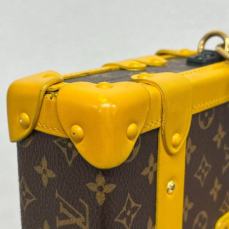 Louis Vuitton Petite Malle Trunk Leather