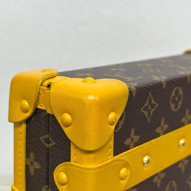 Louis Vuitton Petite Malle Trunk Leather