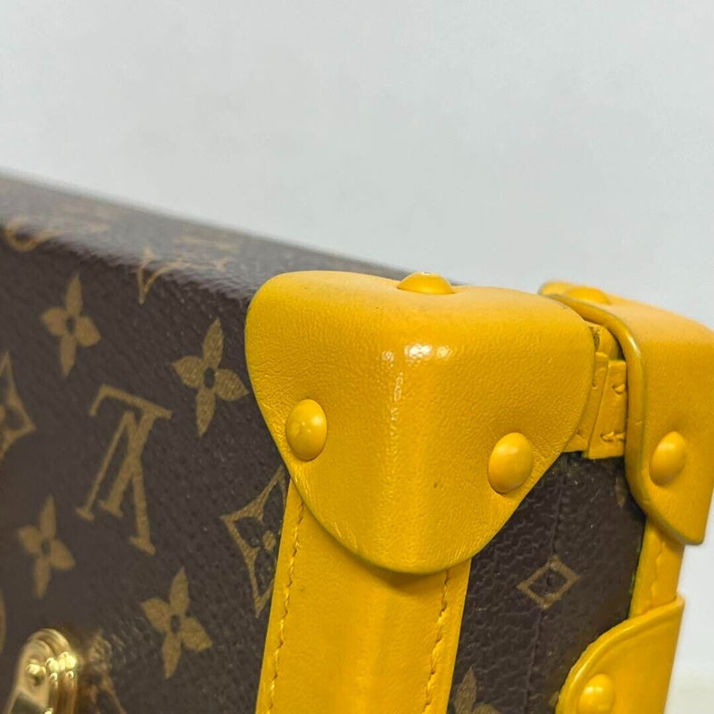 Louis Vuitton Petite Malle Trunk Leather