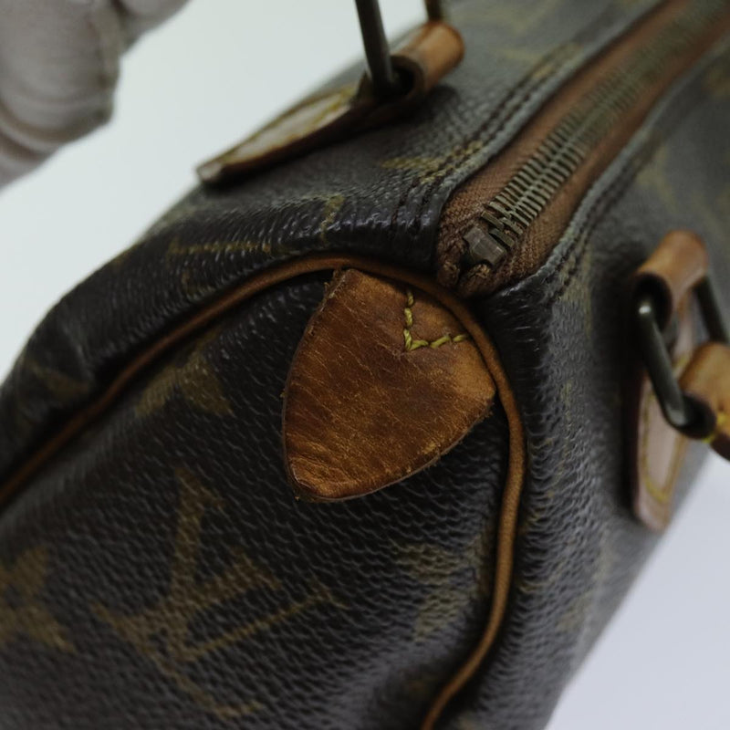 Louis Vuitton Mini Speedy Hand Bag Lv