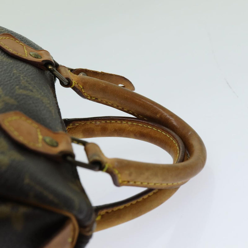 Louis Vuitton Mini Speedy Hand Bag Lv