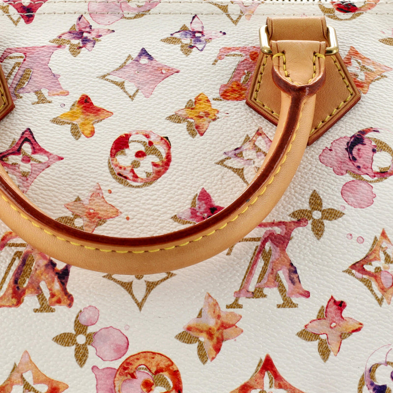 Louis Vuitton Speedy Handbag Watercolor