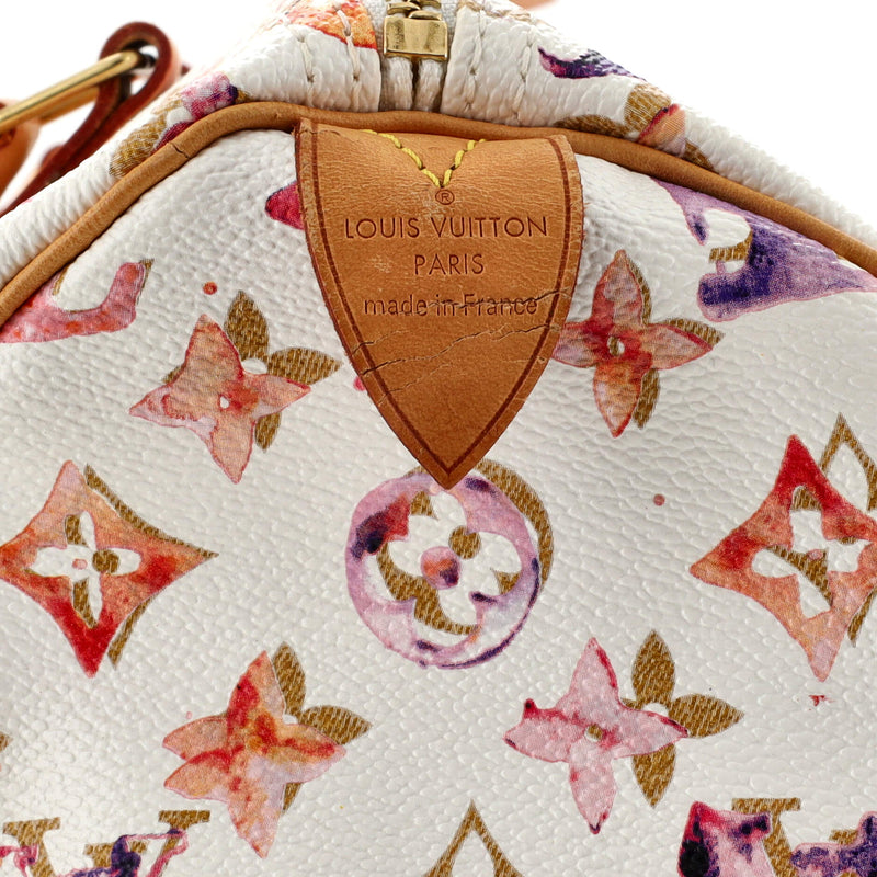 Louis Vuitton Speedy Handbag Watercolor