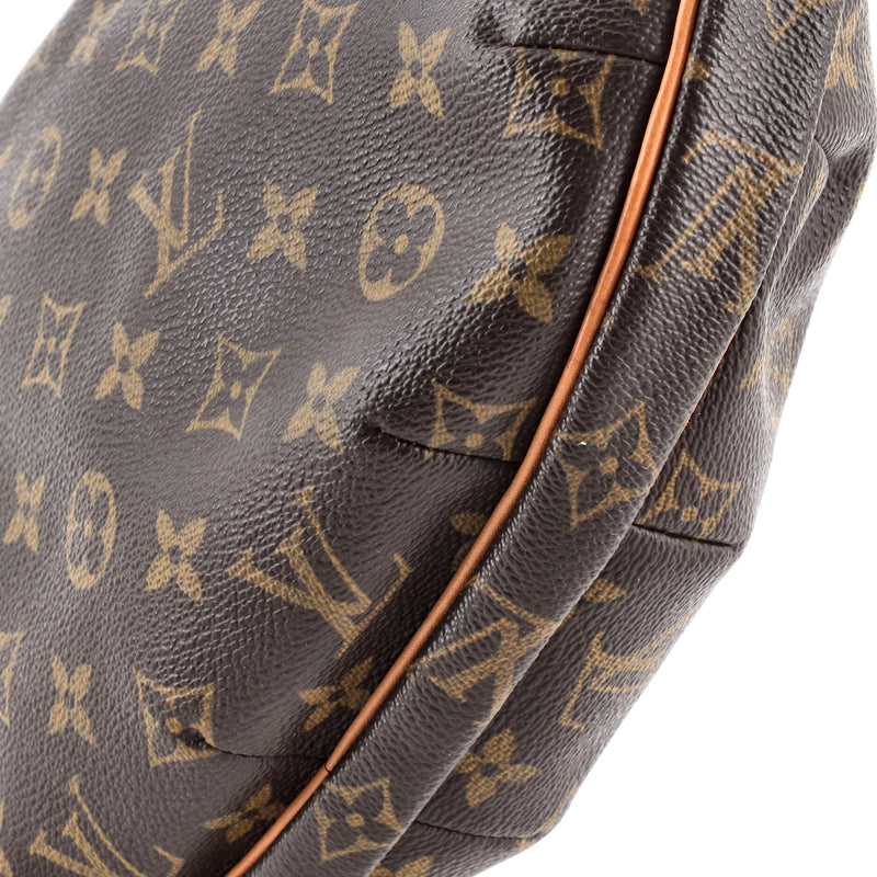 Louis Vuitton Croissant Handbag Canvas