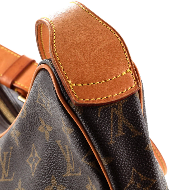 Louis Vuitton Croissant Handbag Canvas