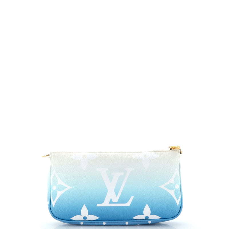 Louis Vuitton Multi Pochette Accessoires