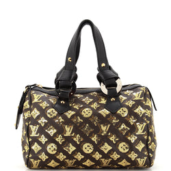 Louis Vuitton Speedy Handbag Limited