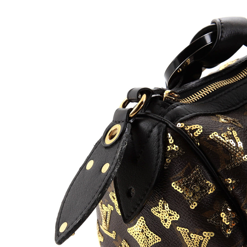 Louis Vuitton Speedy Handbag Limited