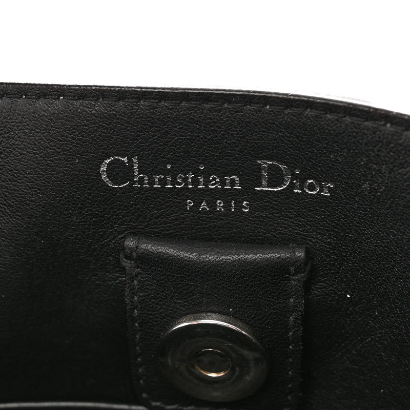 Christian Dior Smooth Calfskin Medium