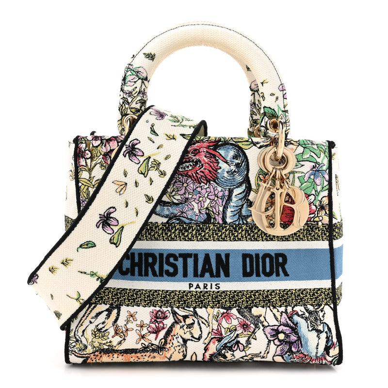 Christian Dior Canvas D-Constellation