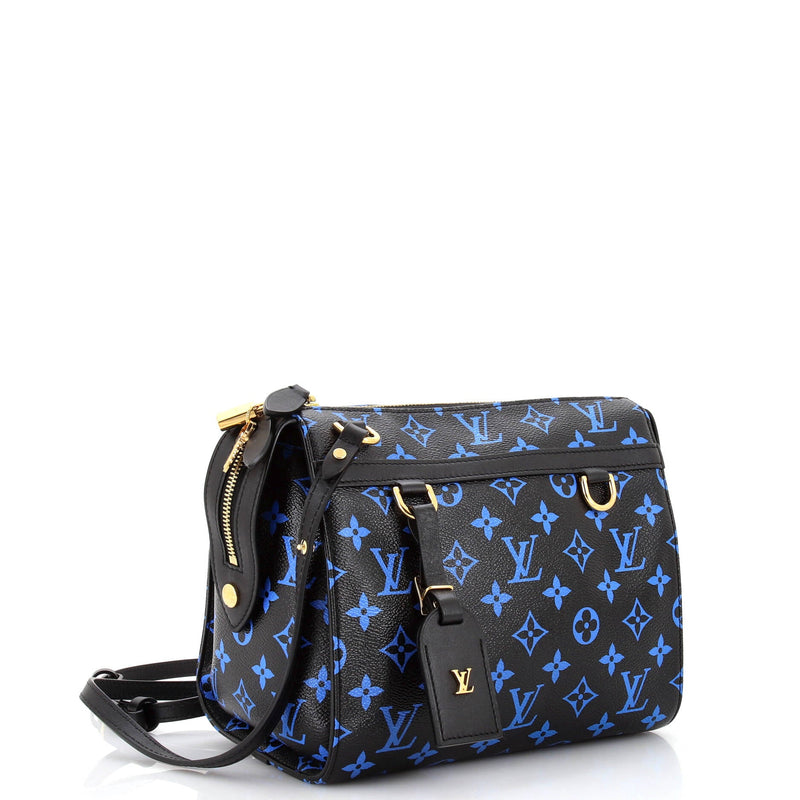 Louis Vuitton Speedy Amazon Bag Canvas