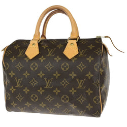 Louis Vuitton Speedy 25 Travel Hand Bag