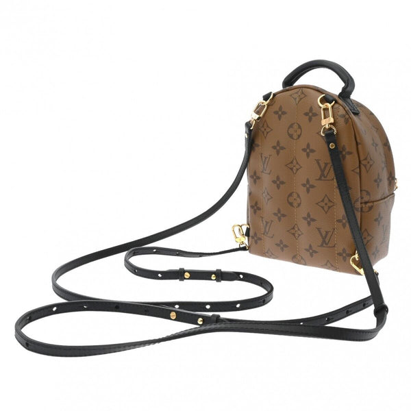 Louis Vuitton Reverse Palm Springs Mini
