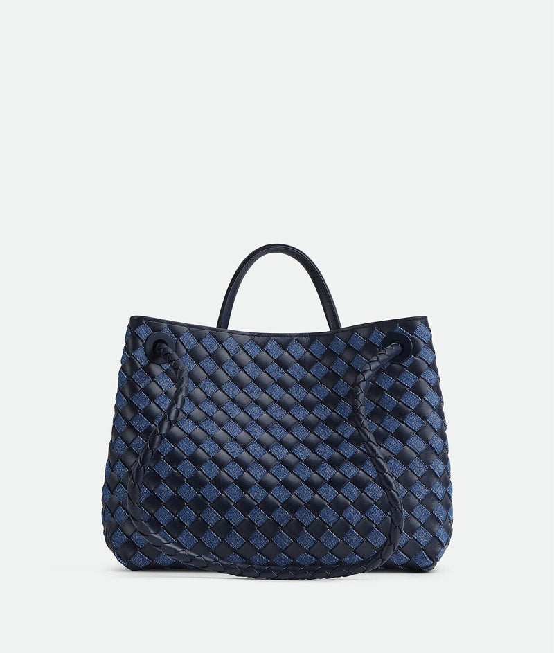 Bottega Veneta Andiamo Medium-