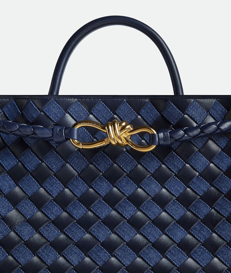 Bottega Veneta Andiamo Medium-