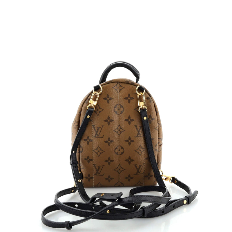 Louis Vuitton Palm Springs Backpack