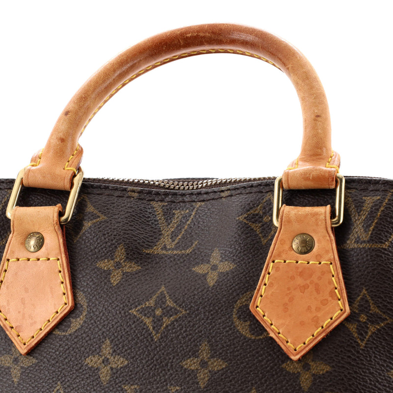 Louis Vuitton Alma Handbag Canvas Pm