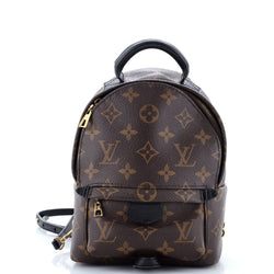 Louis Vuitton Palm Springs Backpack