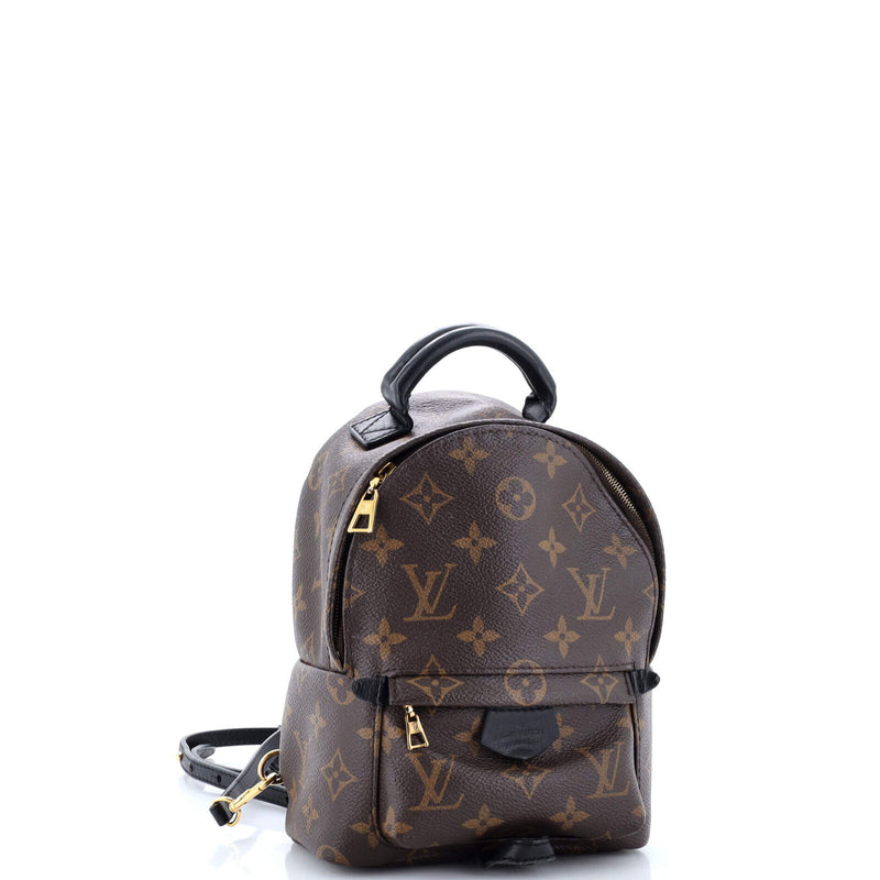 Louis Vuitton Palm Springs Backpack