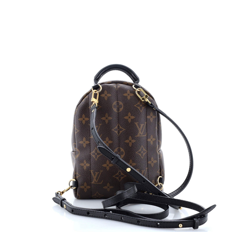 Louis Vuitton Palm Springs Backpack