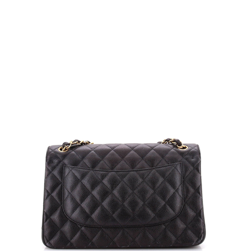 Chanel Classic Double Flap Bag Quilted