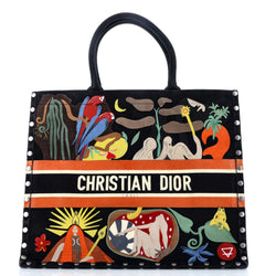 Christian Dior Book Tote Multicolor