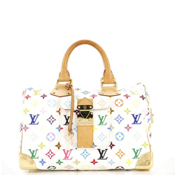 Louis Vuitton Speedy Handbag Multicolor