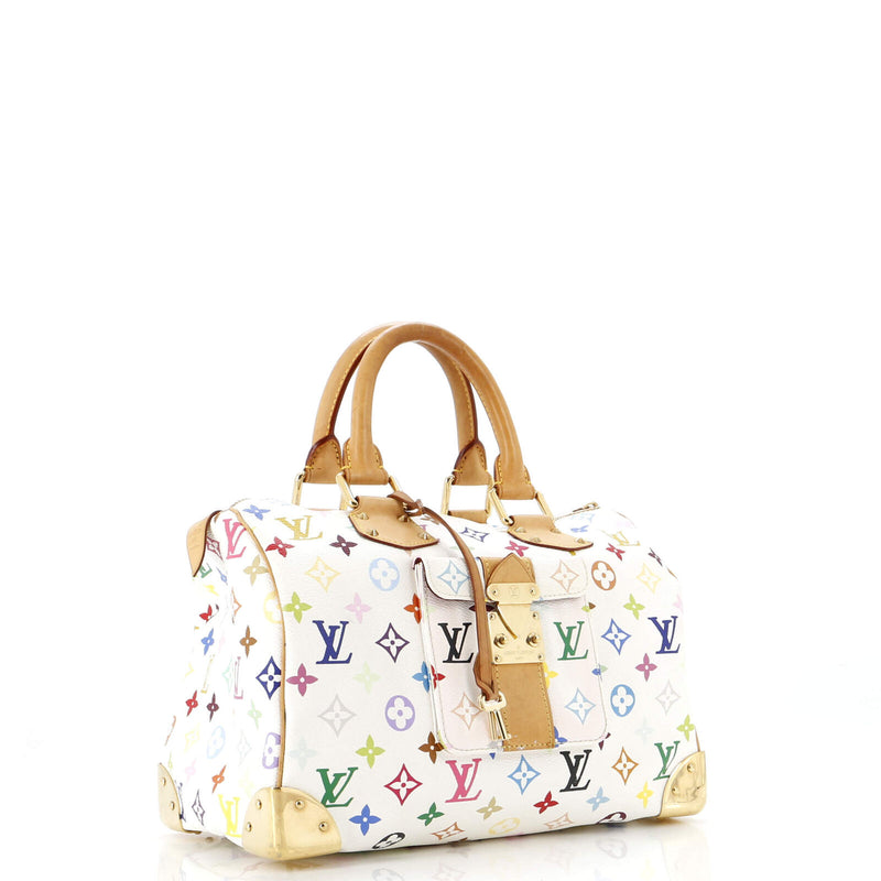 Louis Vuitton Speedy Handbag Multicolor