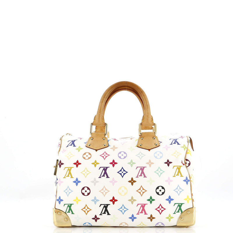 Louis Vuitton Speedy Handbag Multicolor