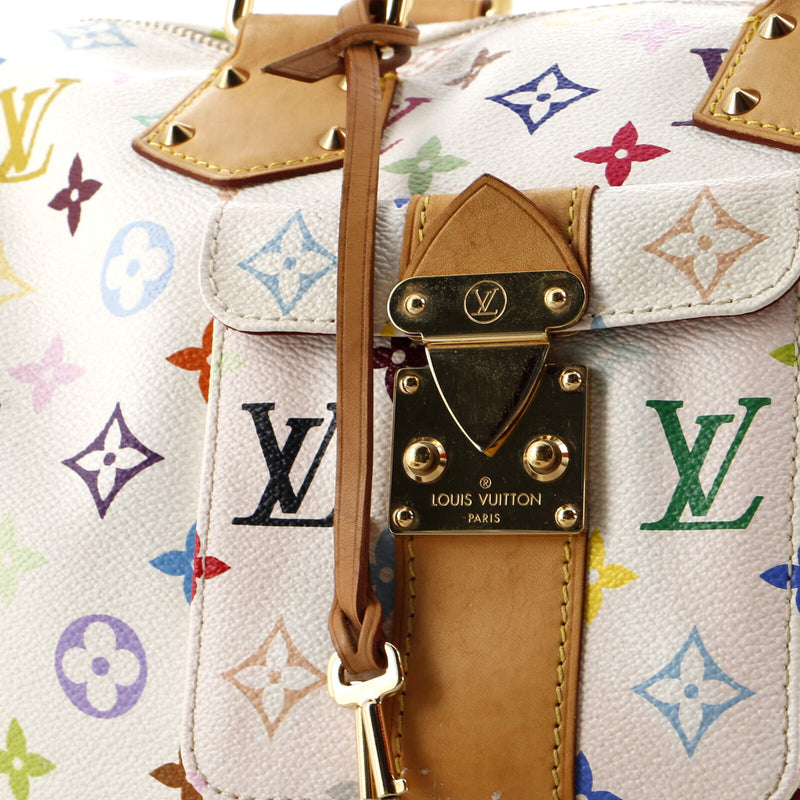 Louis Vuitton Speedy Handbag Multicolor