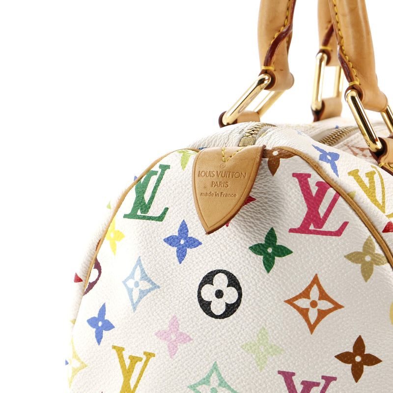 Louis Vuitton Speedy Handbag Multicolor