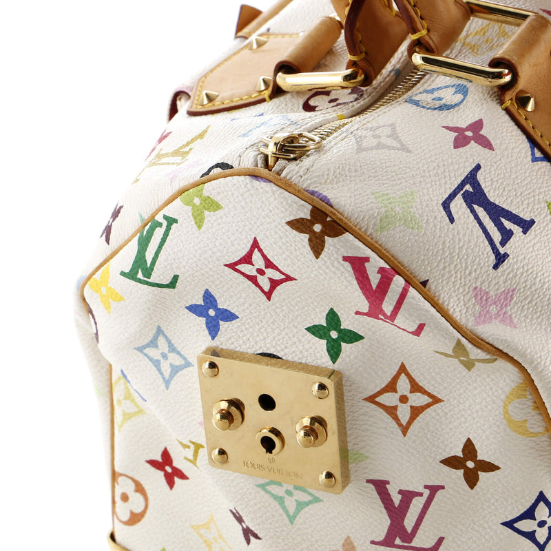 Louis Vuitton Speedy Handbag Multicolor