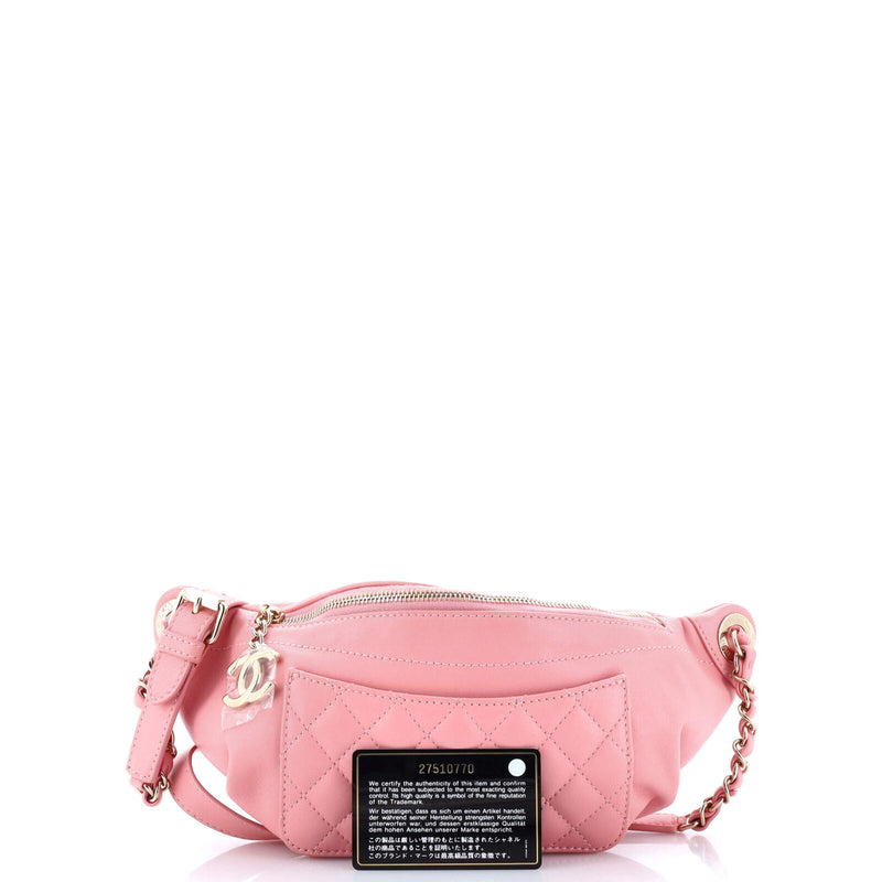 Chanel Bi Classic Waist Bag Quilted