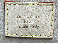 Louis Vuitton Vanity Case Monoglam