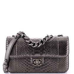 Chanel Perfect Edge Flap Bag Python